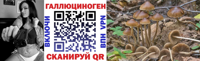 Купить  Горно-Алтайск  Галлюциногенные грибы GOLDEN TEACHER 
